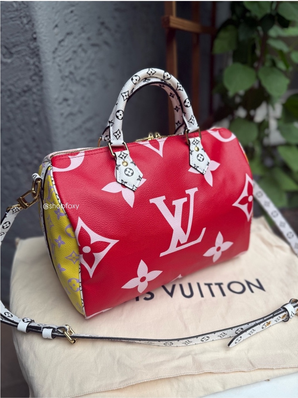 Louis Vuitton Speedy Bandouliere 30